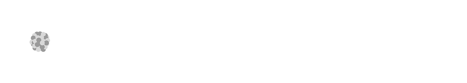 Logo 8